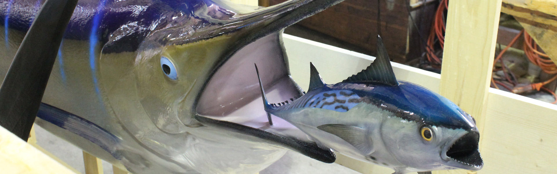 Marlin custom mounted fish