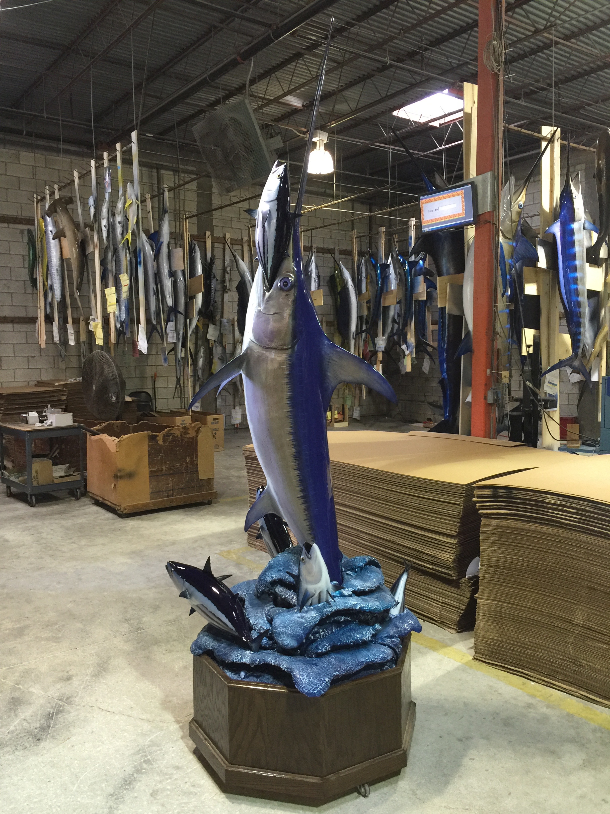 full size swordfish mount
