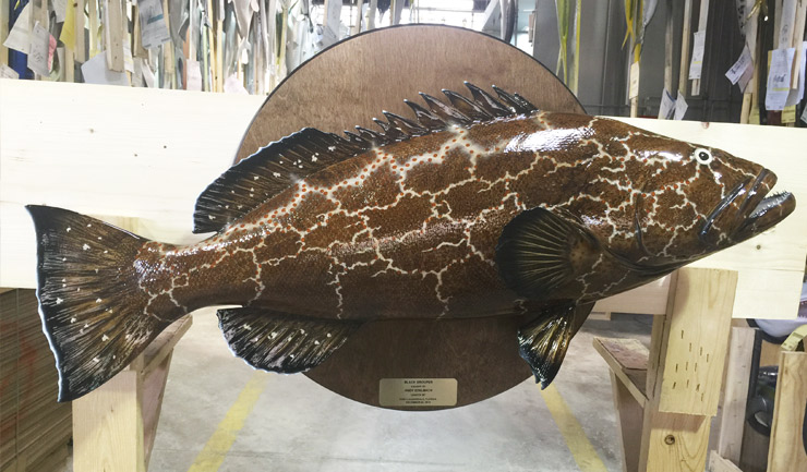 Black Grouper Fish Replica on wood plaque