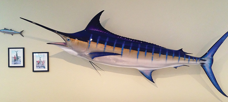 Blue Marlin fish Replica at the shops of Gray Taxidermy