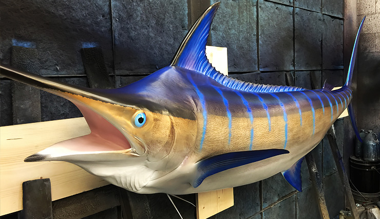 Blue Marlin fish Replica at the shops of Gray Taxidermy