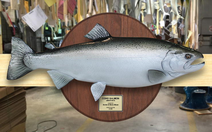 Silver/Coho Salmon Fishmount on wood plaque