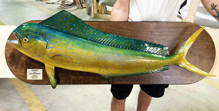 Cow Dolphinfish mount on wood plaque