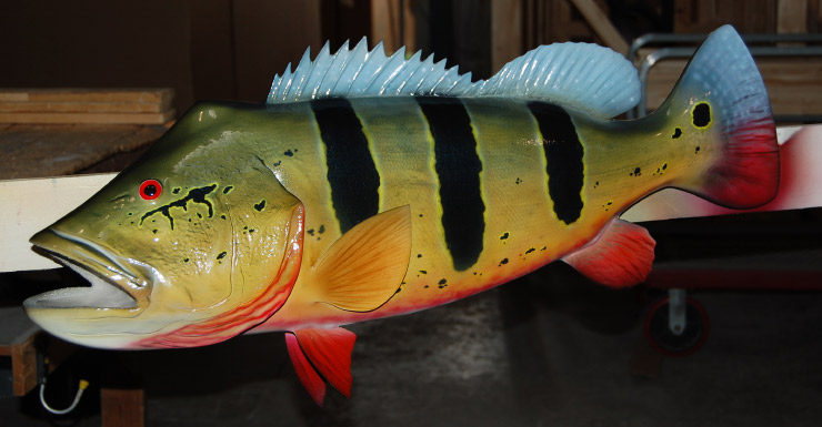 Peacock Bass fishmount 