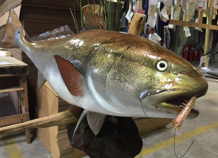 Custom Redfish mount