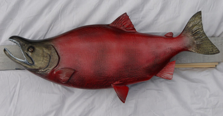 Sockeye Salmon fishmount