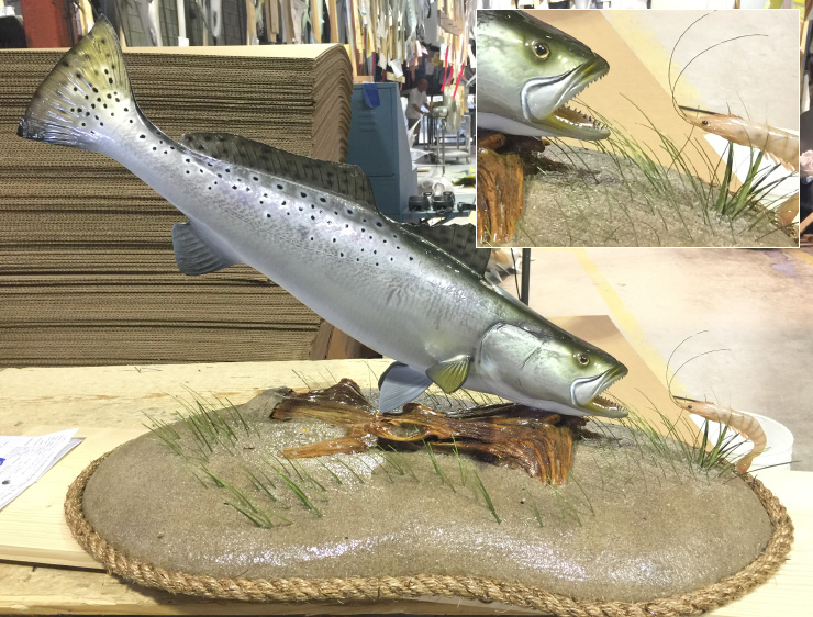 Spotted Seatrout fish on custom base