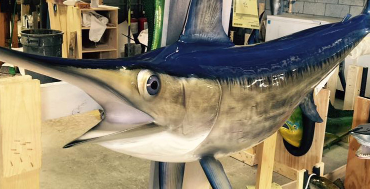 Swordfish mount at Gray Taxidermy shop
