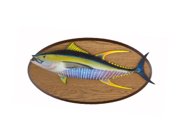 Yellowfin Tuna 3rd Place Plaque
