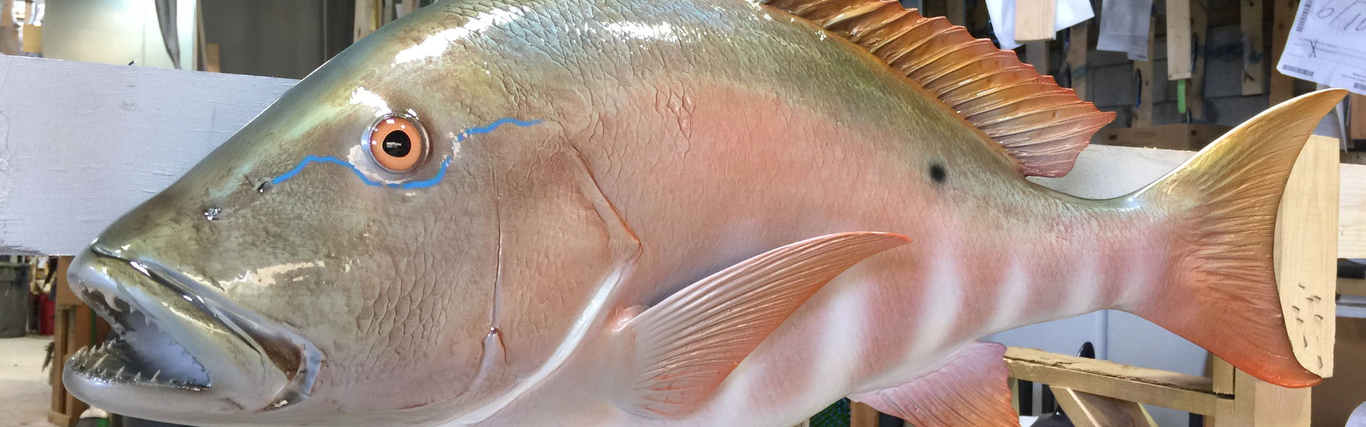 27-Inch Flounder Fish Mount