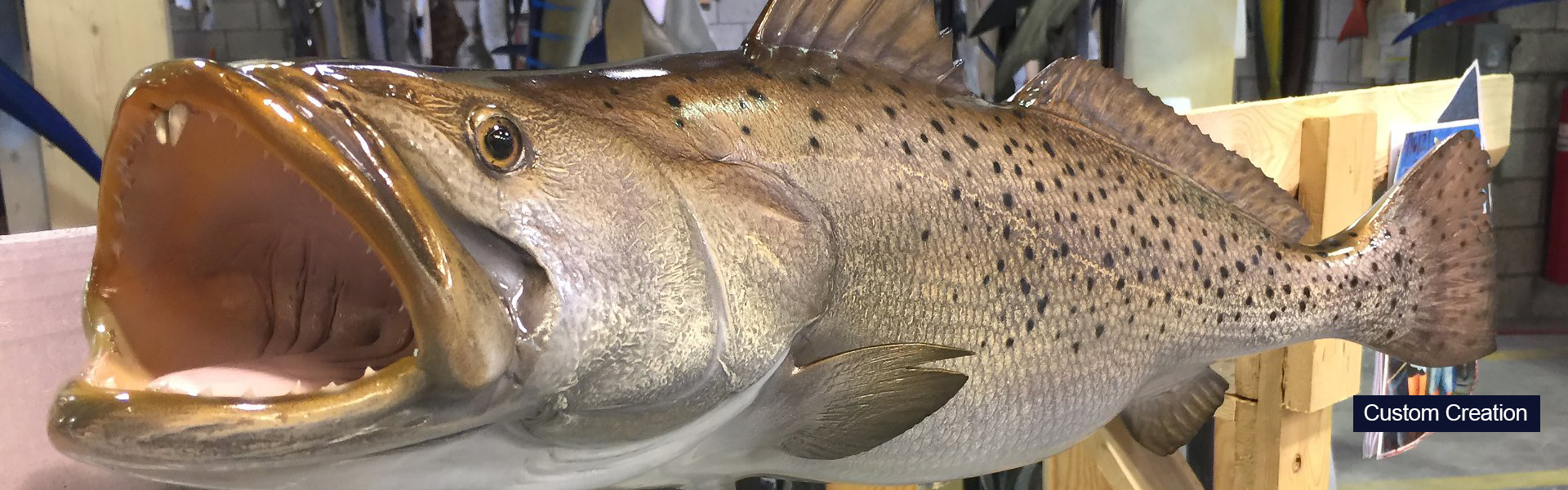 Fish Mounts  Donahue Taxidermy Studios