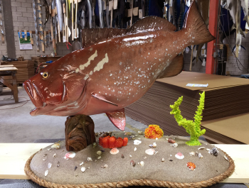 Fish mounts, saltwater and freshwater fish replicas