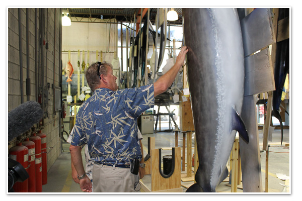 Guy Harvey looking at gray Taxidermy paint schemes