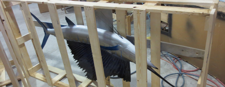 Sailfish mount in Crate