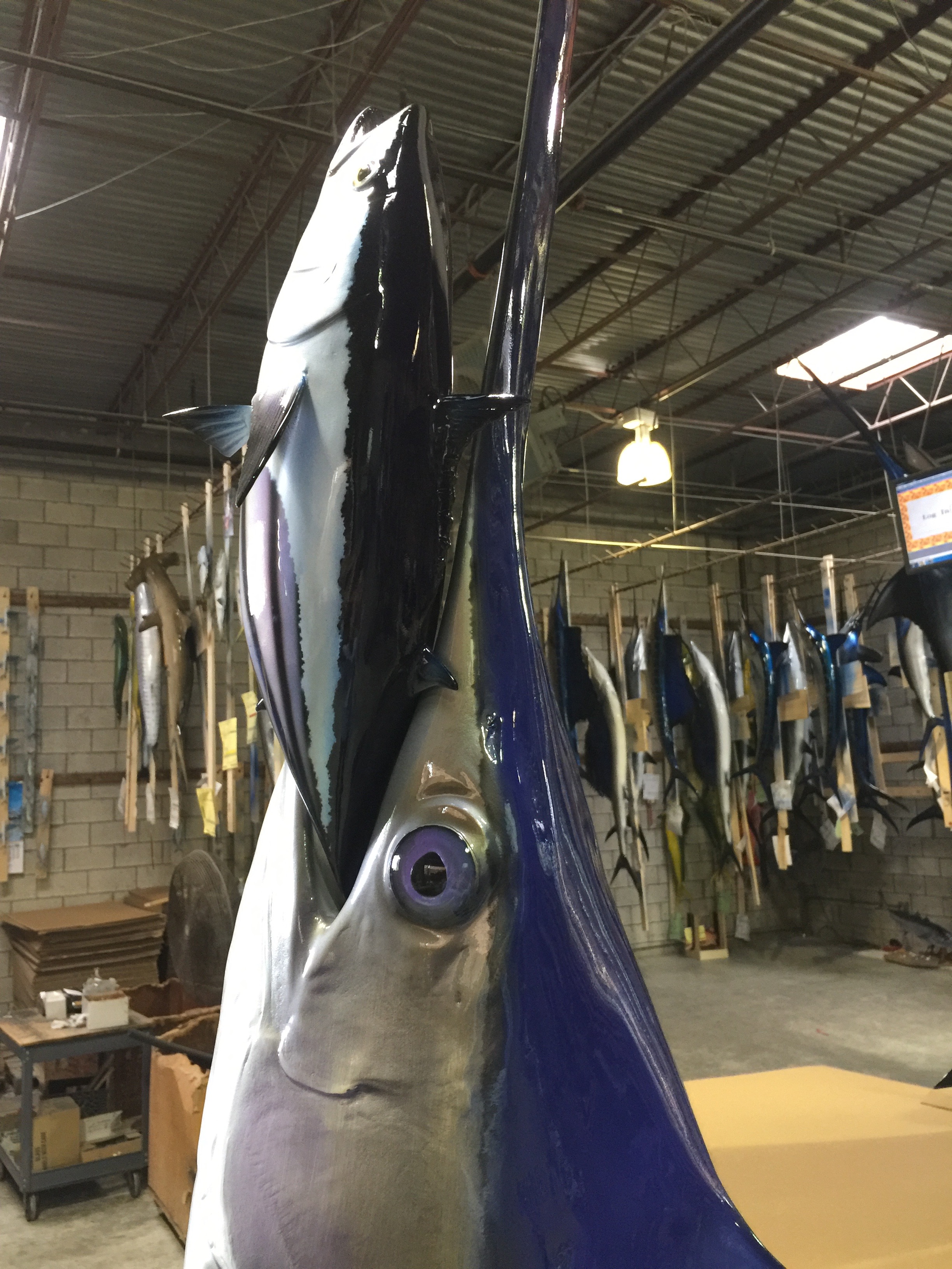 Swordfish mount