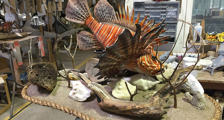 Lionfish custom base