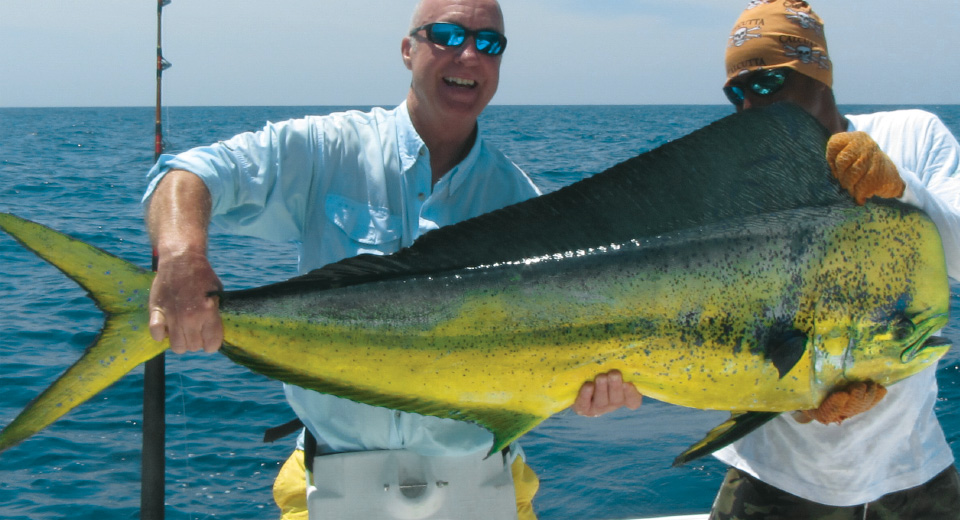 Dorado fish