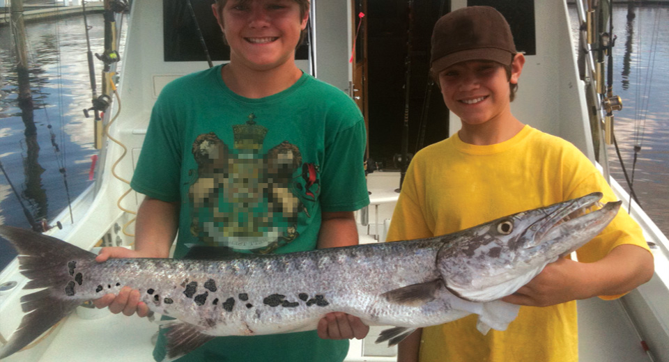 Barracuda fishmount