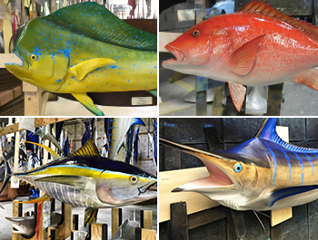 Fish mounts, saltwater and freshwater fish replicas