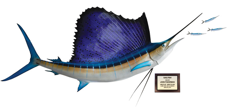 Atlantic Sailfish Mount