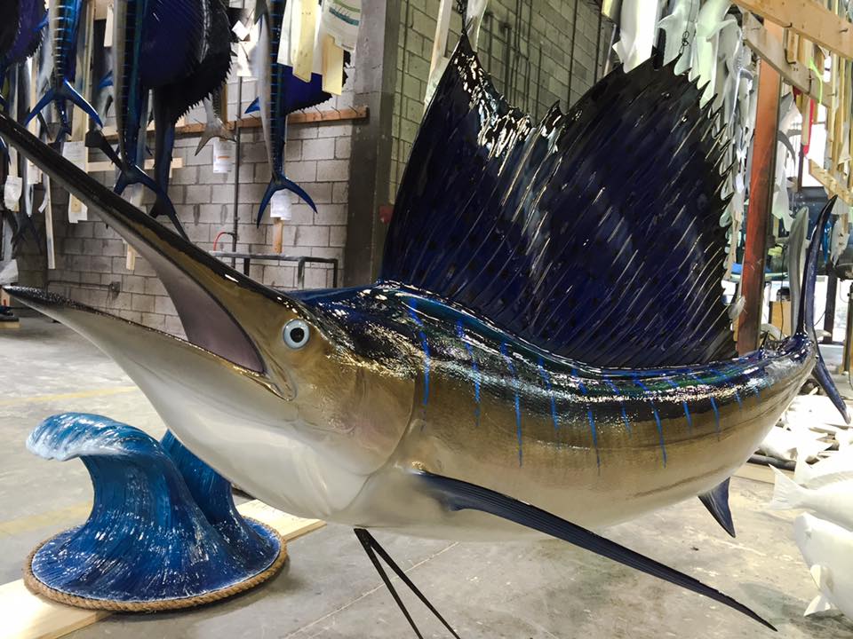 Atlantic Sailfish mount shop