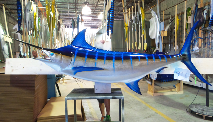 Blue Marlin fish Replica at the shops of Gray Taxidermy