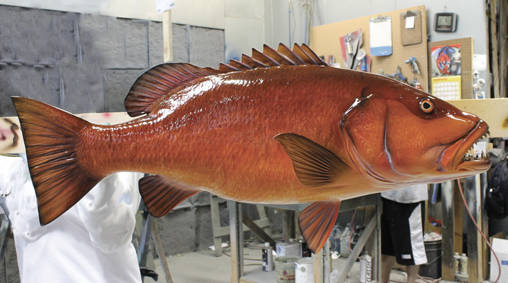 Cubera Snapper Fish mount 