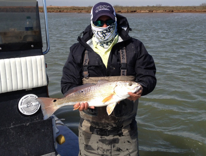 Redfish