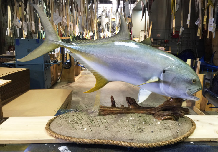 Jack Crevalle custom Base mount