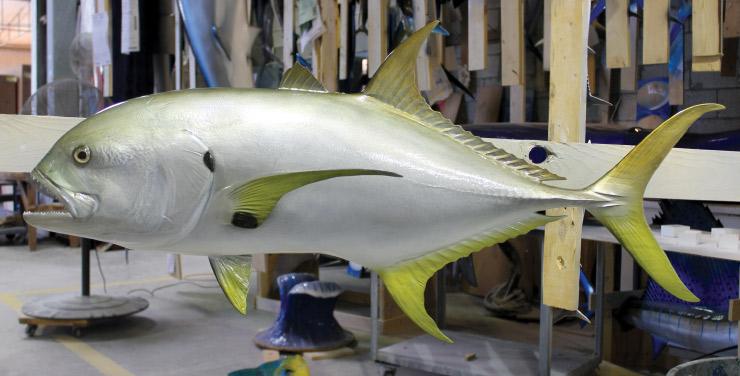 Jack Crevalle custom mount