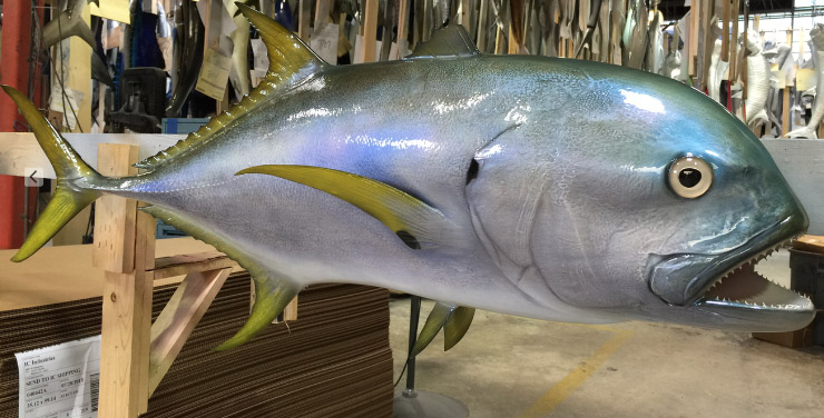 Jack Crevalle custom mount