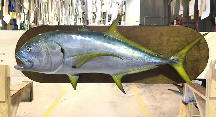 Jack Crevalle custom mount woodplaque