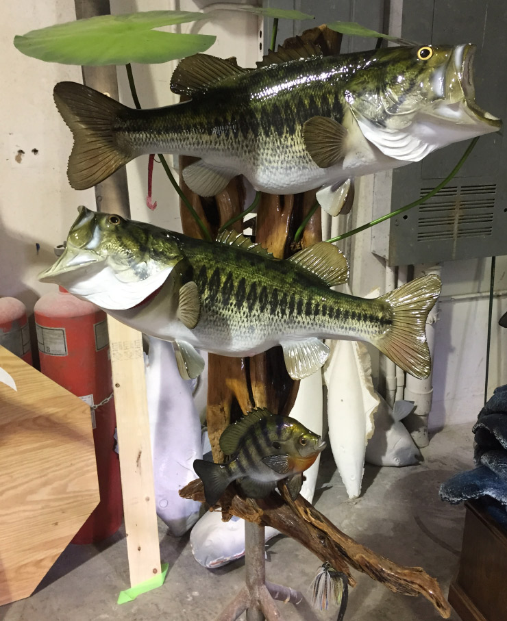 Largemouth Bass fishmount custombase