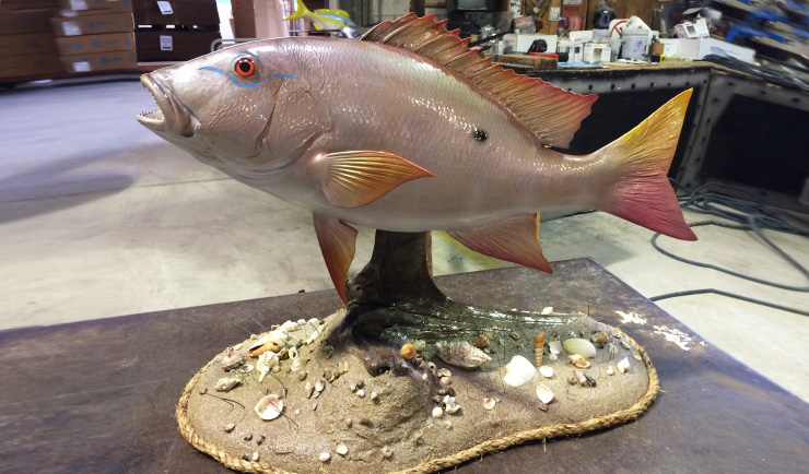 Mutton Snapper mount on custom ocean floor base