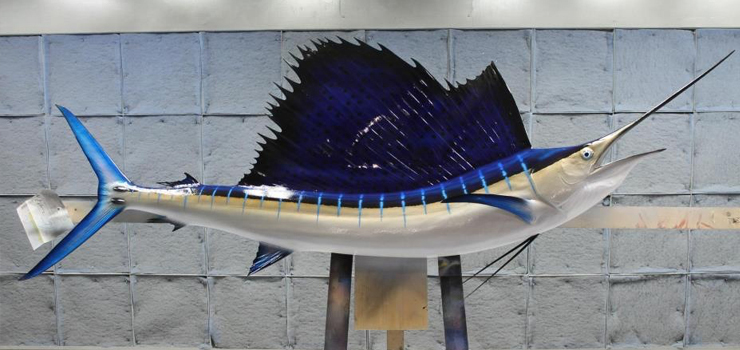 Sailfish Pacific