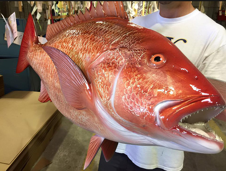 Red Snapper Fish Mount, mounted fish