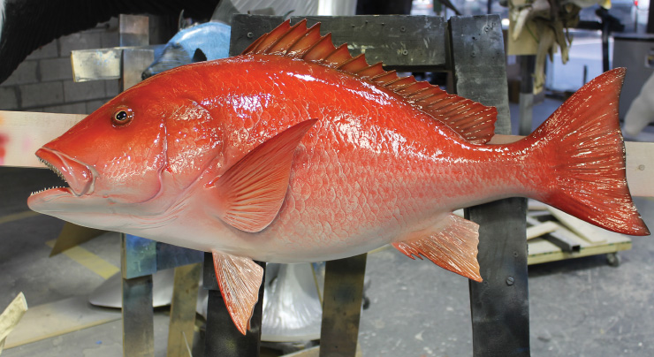 Red Snapper Fish Mount, mounted fish