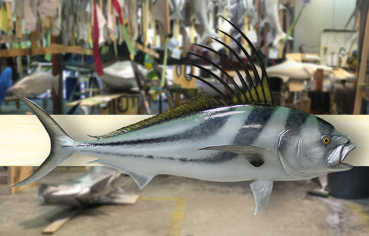 Custom Roosterfish mount