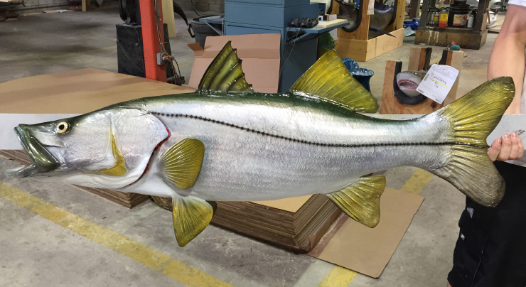 Snook mount on wood plaque