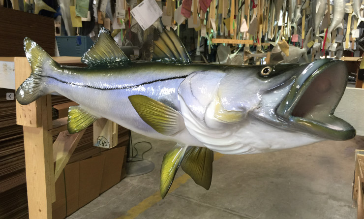 Custom Snook fish mount closeup