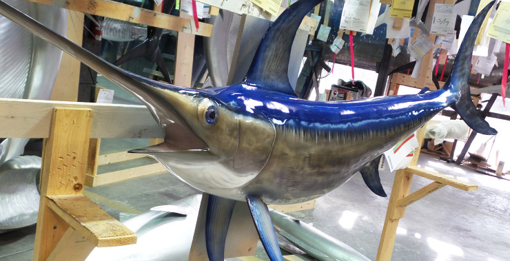 Swordfish mount at Gray Taxidermy