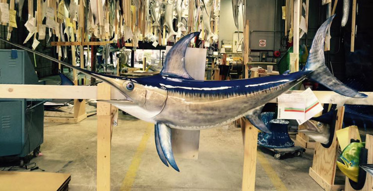 Swordfish mount at Gray Taxidermy