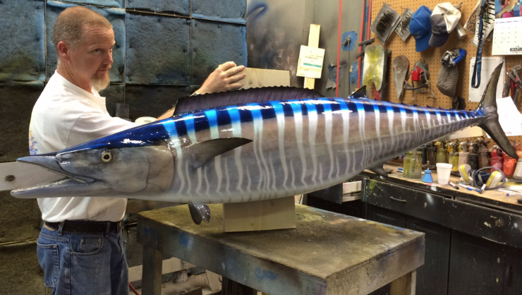 Wahoo fish mount