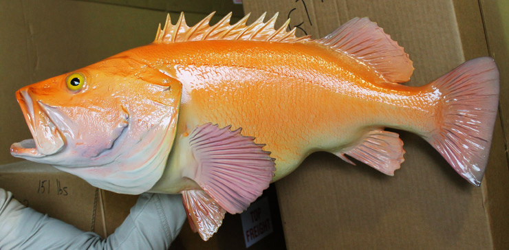 Snapper, Yelloweye - Fish Mounts