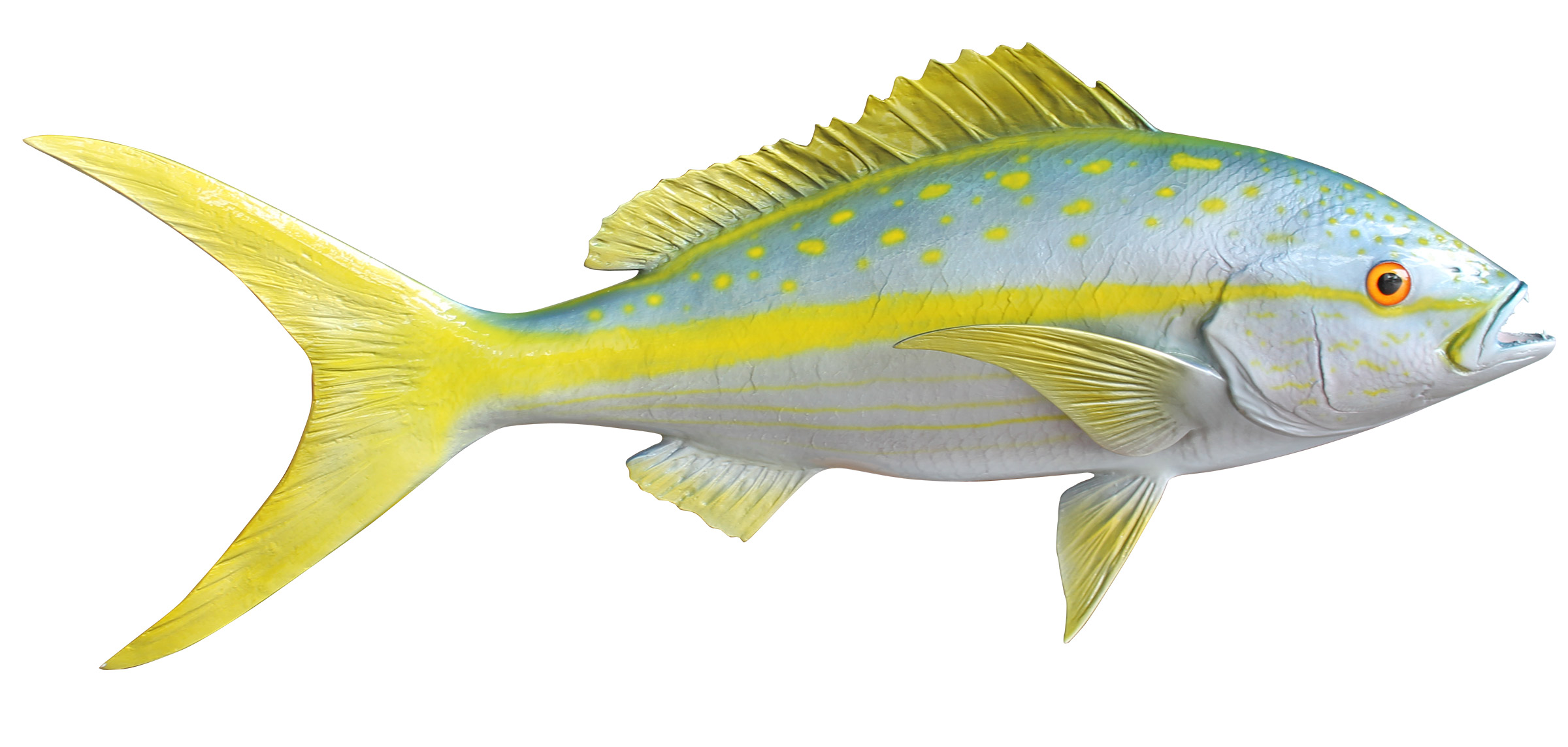 Snapper, Yelloweye - Fish Mounts