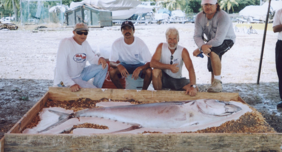 Molding History at Gray Taxidermy