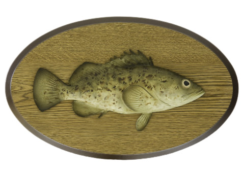 Gag Grouper Wood Plaque Mount