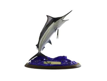 Black Marlin 1st Place Trophy