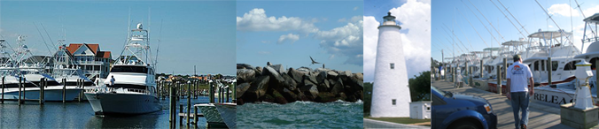 Pelagic Gear from Gray Taxidermy
