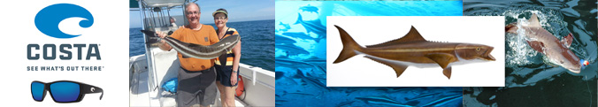 Fish of the month
